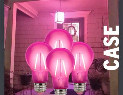 Picture of Pink Light Bulbs - 1 Case - 100 per case